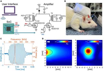 Development of a wireless ultrasonic brain stimulation system for concurrent bilateral neuromodulation in freely moving rodents